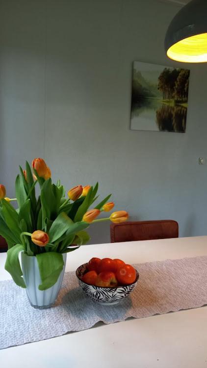 Woudthuisje Laag-Soeren Esterno foto