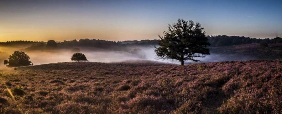 Woudthuisje Laag-Soeren Esterno foto